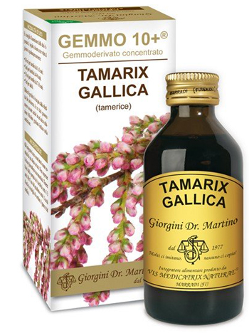 GEMMO 10+ TAMERICE 100 ML LIQUIDO ANALCOLICO - farmasorriso.com