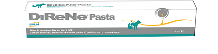 DIRENE PASTA 15 ML - farmasorriso.com