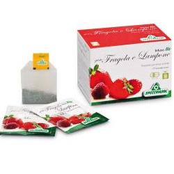 INFUSO BIO FRAGOLA E LAMPONE 20 FILTRI - farmasorriso.com