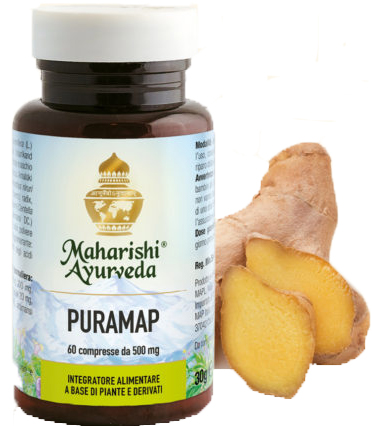 PURAMAP 60 COMPRESSE - farmasorriso.com