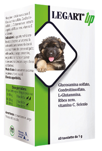 LEGART UP 60 COMPRESSE DA 1 G - farmasorriso.com