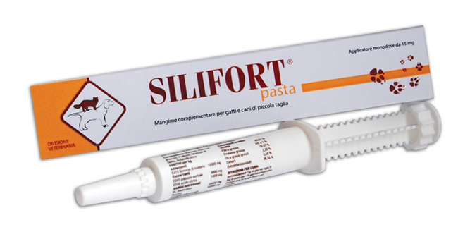 SILIFORT PASTA OS SIRINGA 30 G - farmasorriso.com