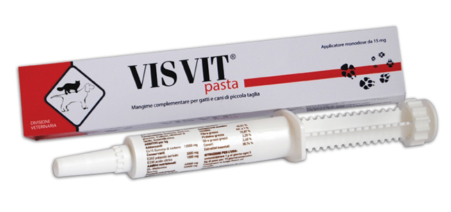 VISVIT PASTA OS SIRINGA 15 G - farmasorriso.com