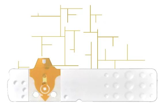STRISCE MISURAZIONE GLICEMIA LINEA D ORO 50 PEZZI - farmasorriso.com