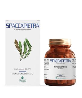 SPACCAPIETRA 50 CAPSULE - farmasorriso.com