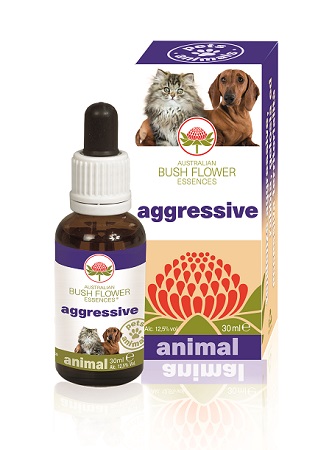 AGGRESSIVE 30 ML - farmasorriso.com