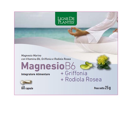 MAGNESIO B6 + GRIFFONIA + RODIOLA 60 CAPSULE - farmasorriso.com
