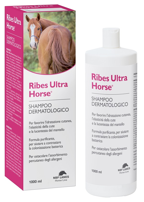 RIBES HORSE ULTRA SHAMPOO DERMATOLOGICO 1 LITRO - farmasorriso.com