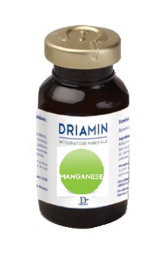 DRIAMIN MANGANESE 15 ML - farmasorriso.com