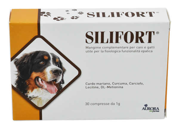 INTEGRATORE ALIMENTARE DETOSSICANTE EPATICO - farmasorriso.com