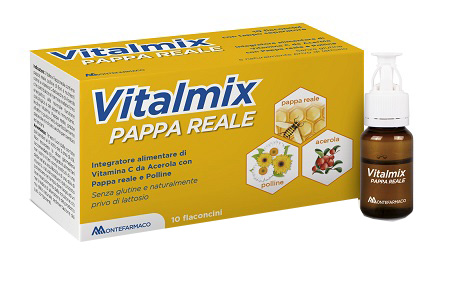 VITALMIX PAPPA REALE 10FLACONCINI X10 ML S/GL - farmasorriso.com