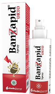 BANZAPID SPRAY TRATTAMENTO 100 ML - farmasorriso.com