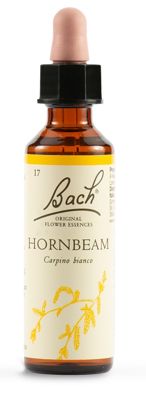 HORNBEAM BACH ORIG 20 ML - farmasorriso.com