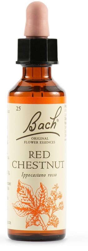 RED CHESTNUT BACH ORIG 20 ML - farmasorriso.com
