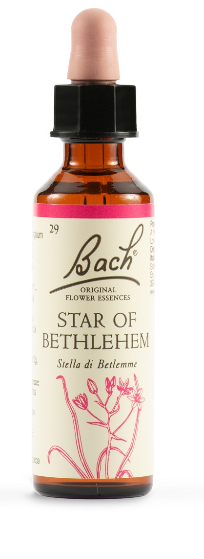 STAR OF BETHL ORIG 20 ML - farmasorriso.com