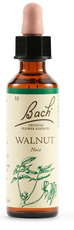 WALNUT BACH ORIG 20 ML - farmasorriso.com