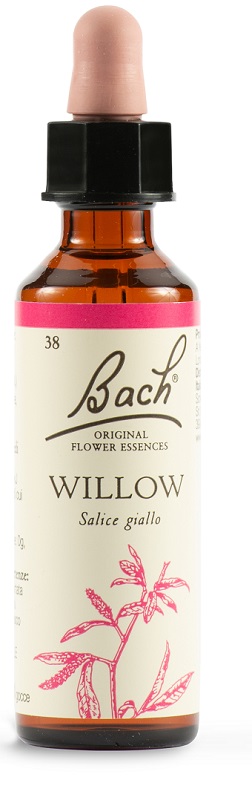 WILLOW BACH ORIG 20 ML - farmasorriso.com