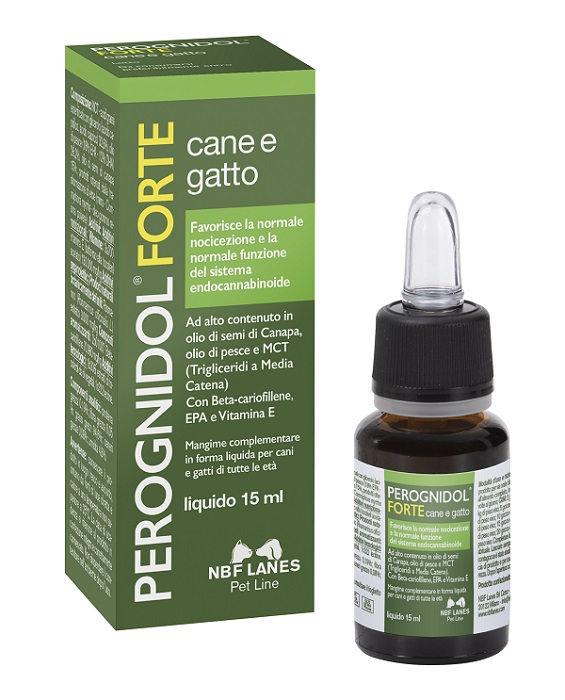 PEROGNIDOL FORTE 15 ML - farmasorriso.com