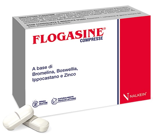 FLOGASINE 20 COMPRESSE - farmasorriso.com