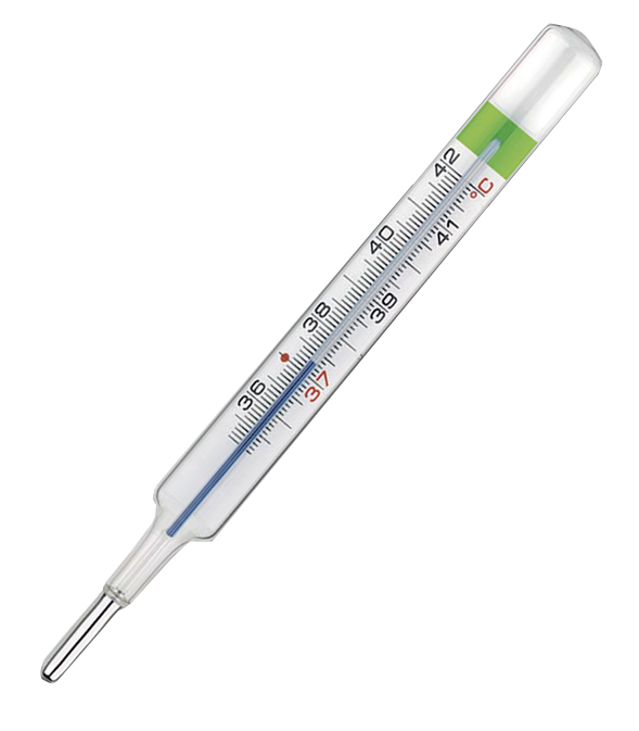 COLPHARMA THERMO GREEN PLUS TERMOMETRO - farmasorriso.com