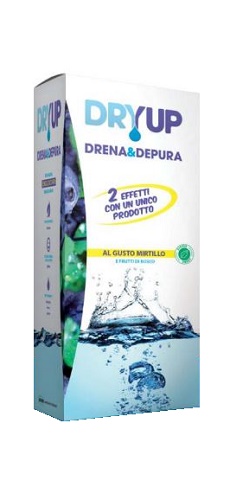 DRYUP MIRTILLO 300 ML - farmasorriso.com