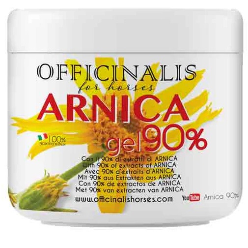 ARNICA GEL 90% 500 ML - farmasorriso.com