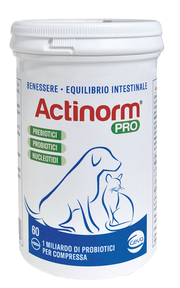 ACTINORM PRO FLACONE 60 COMPRESSE - farmasorriso.com