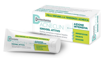 DERMOVITAMINA ACNECLIN IDROGEL ATTIVO AZIONE INTENSIVA 40 ML - farmasorriso.com