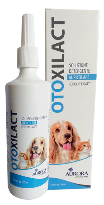 OTOXILACT DETERGENTE AURICOLARE - farmasorriso.com