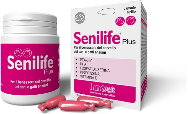 SENILIFE PLUS 30 CAPSULE - farmasorriso.com