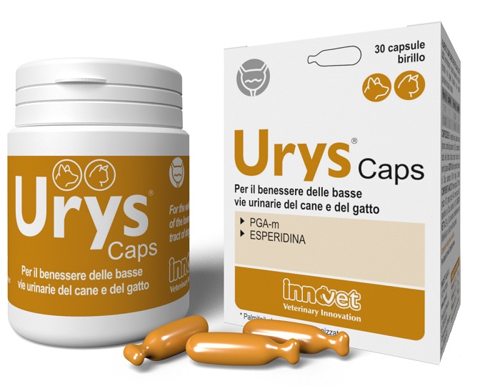 URYS CAPS 30 CAPSULE - farmasorriso.com