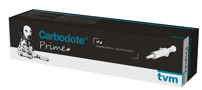 CARBODOTE PRIME THERAPET PASTA APPETIBILE IN SIRINGA 78 G - farmasorriso.com