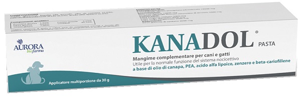 KANADOL PASTA 30 G - farmasorriso.com