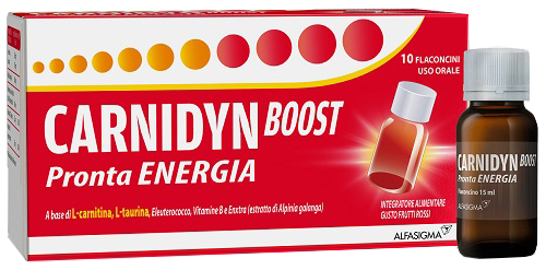 CARNIDYN BOOST 10 FLACONCINI - farmasorriso.com