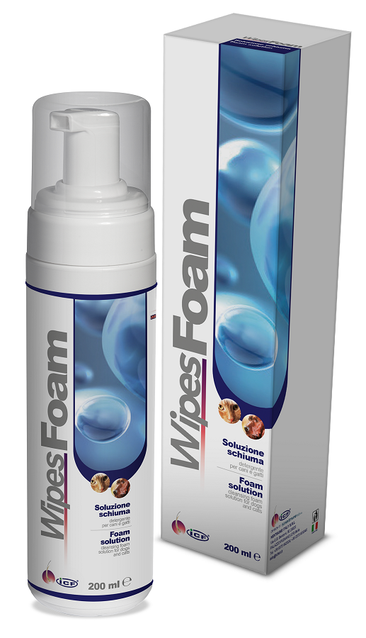 WIPES FOAM 200 ML - farmasorriso.com