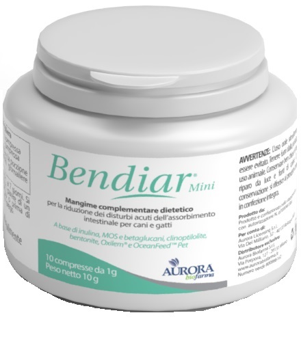 BENDIAR MINI 10 COMPRESSE - farmasorriso.com