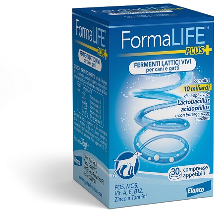 FORMALIFE PLUS FERMENTI LATTICI VIVI 30 COMPRESSE APPETIBILI - farmasorriso.com