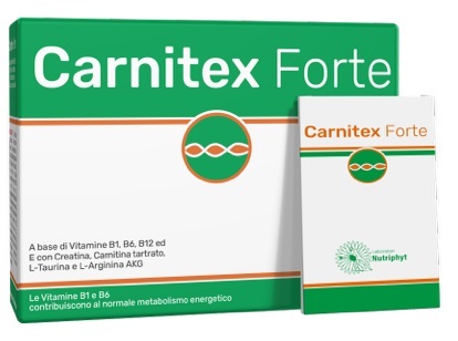CARNITEX FORTE 14 BUSTINE - farmasorriso.com